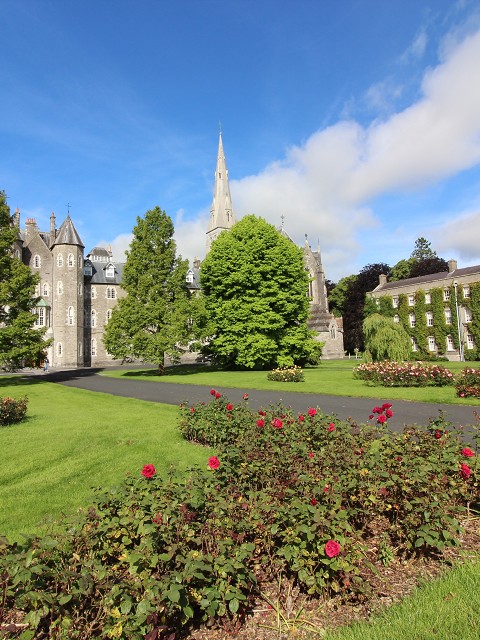 Maynooth e Sutton